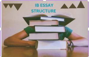 IB TOK essay structure