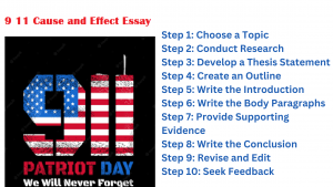 cause and effect essay 